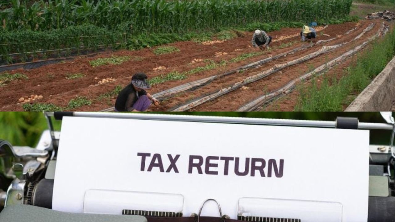 बजट 2026: किसानों और टैक्सपेयर्स के लिए बड़ी घोषणाएं